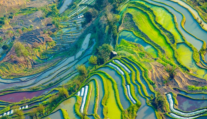 走进肥乡县TVC拍摄：解锁本地化场景与创意镜头的完美融合